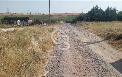 Tekirdağ Çorlu Şahpaz Mah. Satılık 1800 M2 Arsa