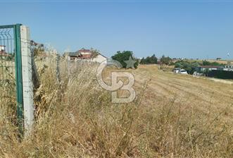 Tekirdağ Çorlu Şahpaz Mah. Satılık 1800 M2 Arsa