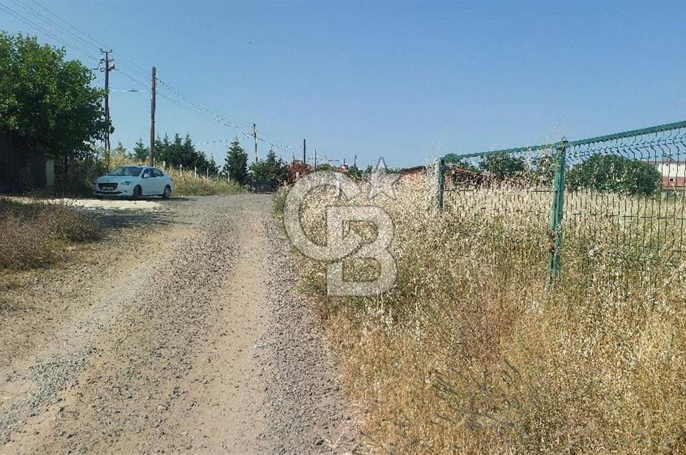 Tekirdağ Çorlu Şahpaz Mah. Satılık 1800 M2 Arsa