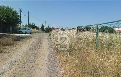Tekirdağ Çorlu Şahpaz Mah. Satılık 1800 M2 Arsa