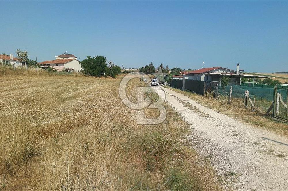 Tekirdağ Çorlu Şahpaz Mah. Satılık 1800 M2 Arsa