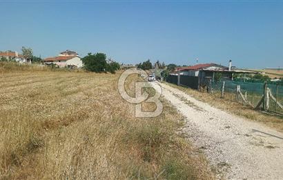 Tekirdağ Çorlu Şahpaz Mah. Satılık 1800 M2 Arsa