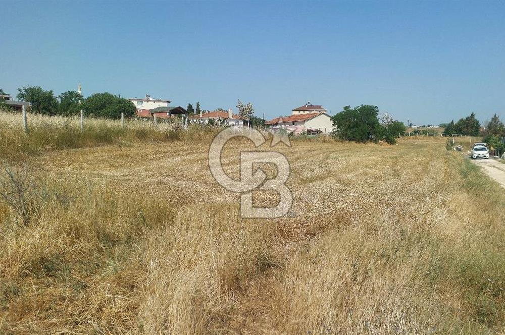 Tekirdağ Çorlu Şahpaz Mah. Satılık 1800 M2 Arsa