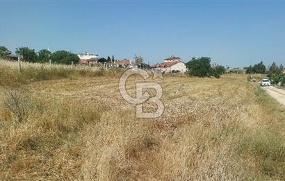 Tekirdağ Çorlu Şahpaz Mah. Satılık 1800 M2 Arsa