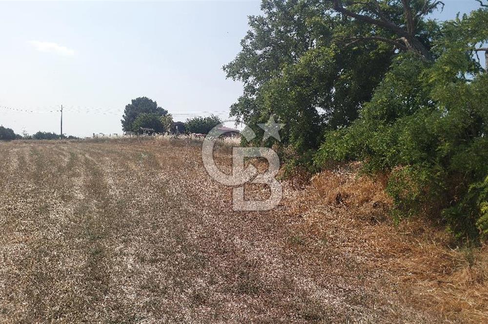 Tekirdağ Çorlu Şahpaz Mah. Satılık 1800 M2 Arsa