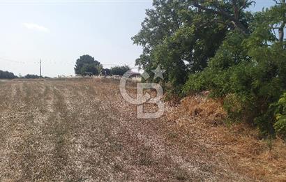 Tekirdağ Çorlu Şahpaz Mah. Satılık 1800 M2 Arsa