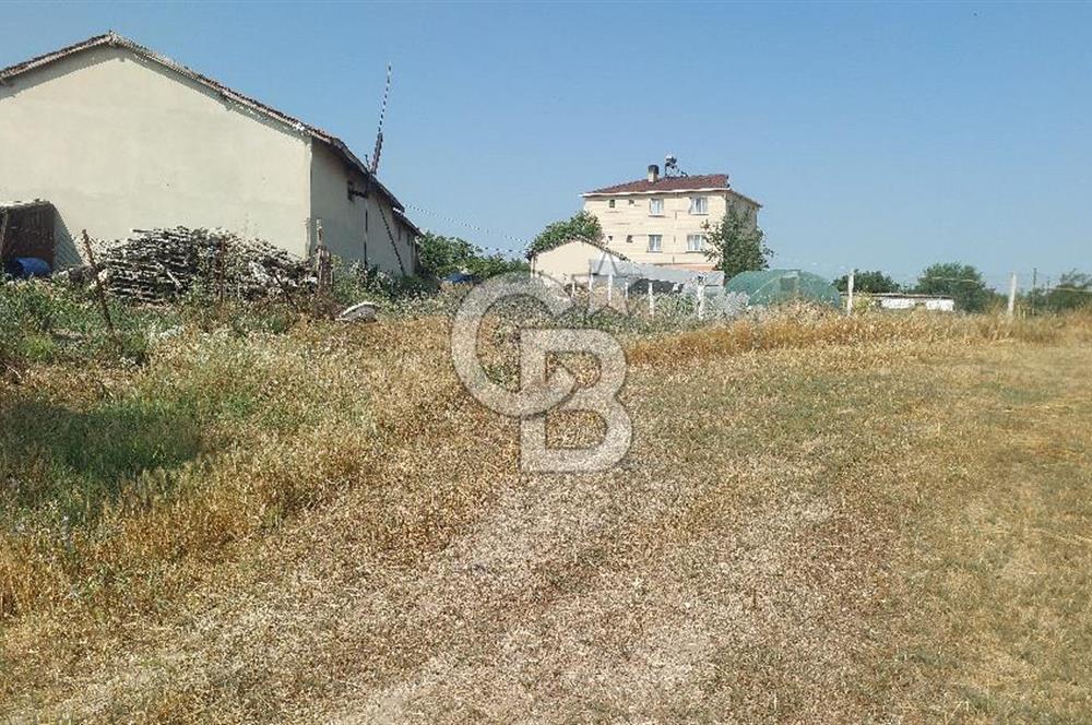 Tekirdağ Çorlu Şahpaz Mah. Satılık 1800 M2 Arsa
