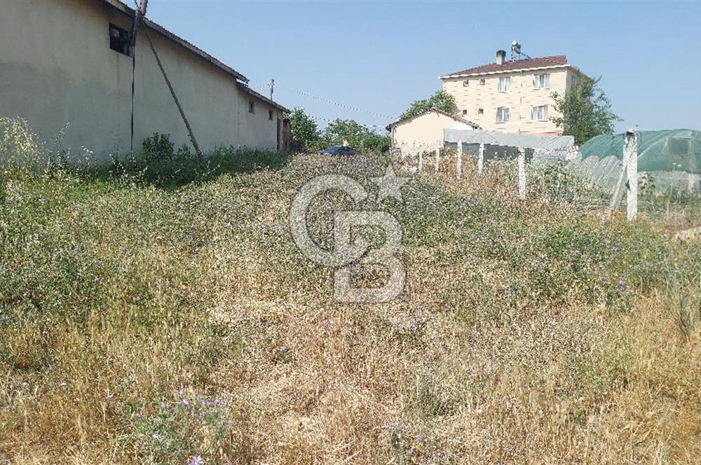 Tekirdağ Çorlu Şahpaz Mah. Satılık 1800 M2 Arsa