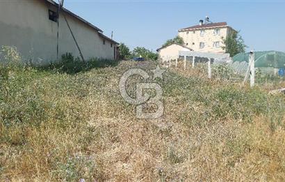Tekirdağ Çorlu Şahpaz Mah. Satılık 1800 M2 Arsa