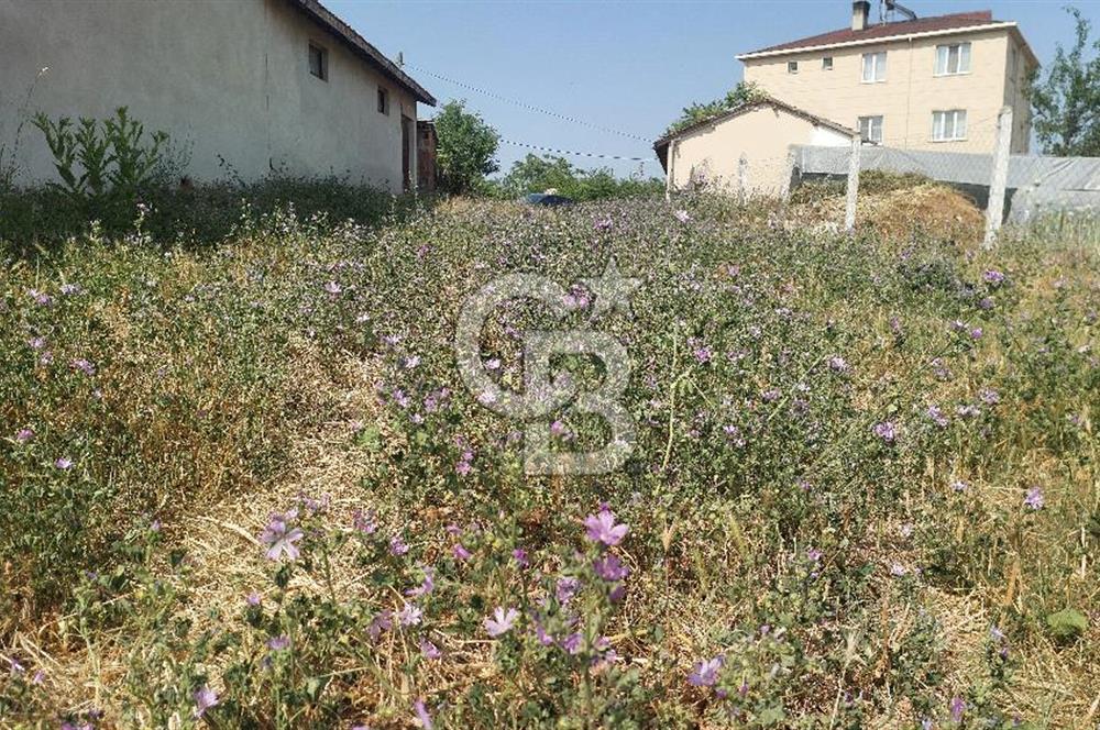 Tekirdağ Çorlu Şahpaz Mah. Satılık 1800 M2 Arsa