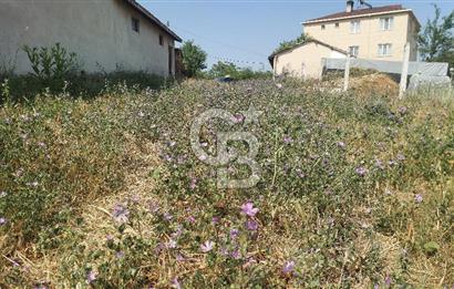 Tekirdağ Çorlu Şahpaz Mah. Satılık 1800 M2 Arsa