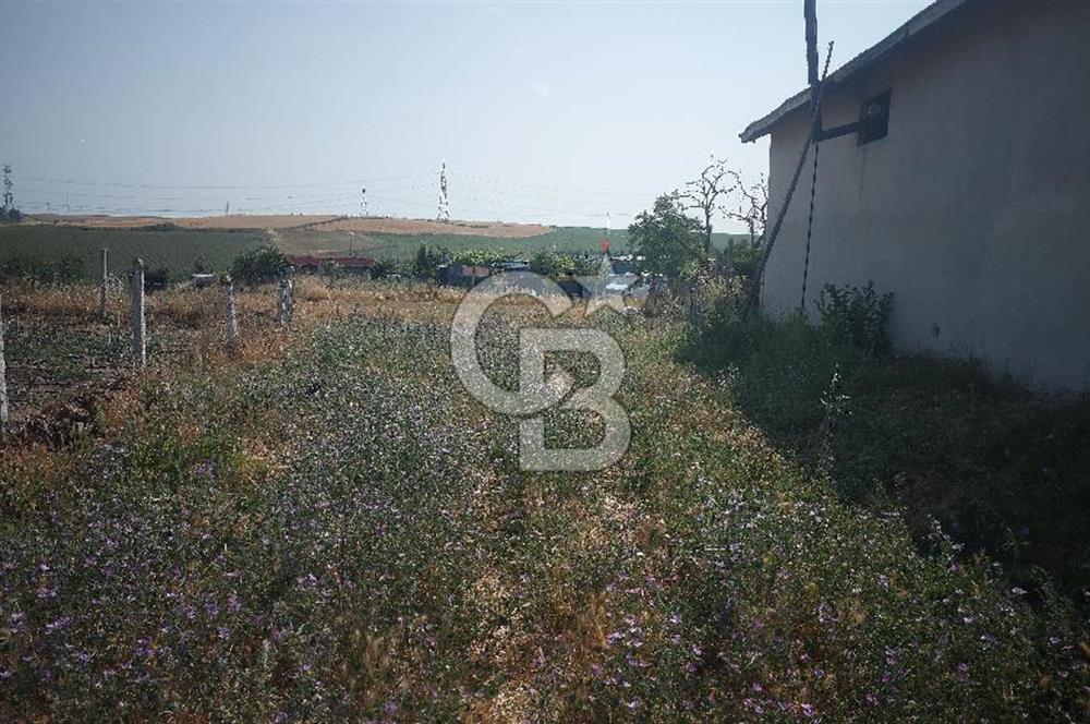 Tekirdağ Çorlu Şahpaz Mah. Satılık 1800 M2 Arsa