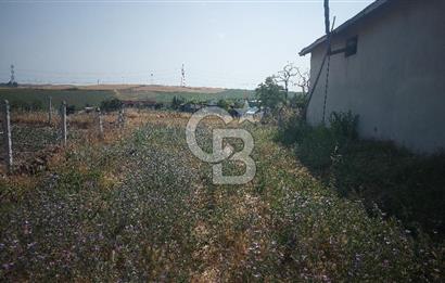 Tekirdağ Çorlu Şahpaz Mah. Satılık 1800 M2 Arsa