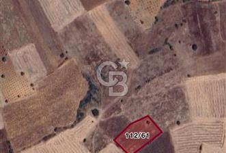 Denizli Bekilli Çoğaşlı Mh. Satılık 2.551 m2 Tarla 