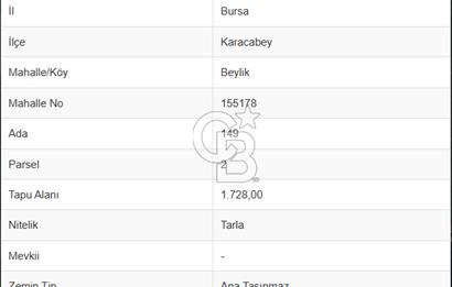 BURSA;KARACABEY,BEYLİK DE ANA YOLA CEPHE SATILIK ARAZİ