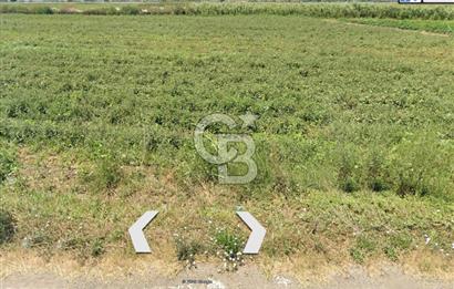 BURSA;KARACABEY,BEYLİK DE ANA YOLA CEPHE SATILIK ARAZİ