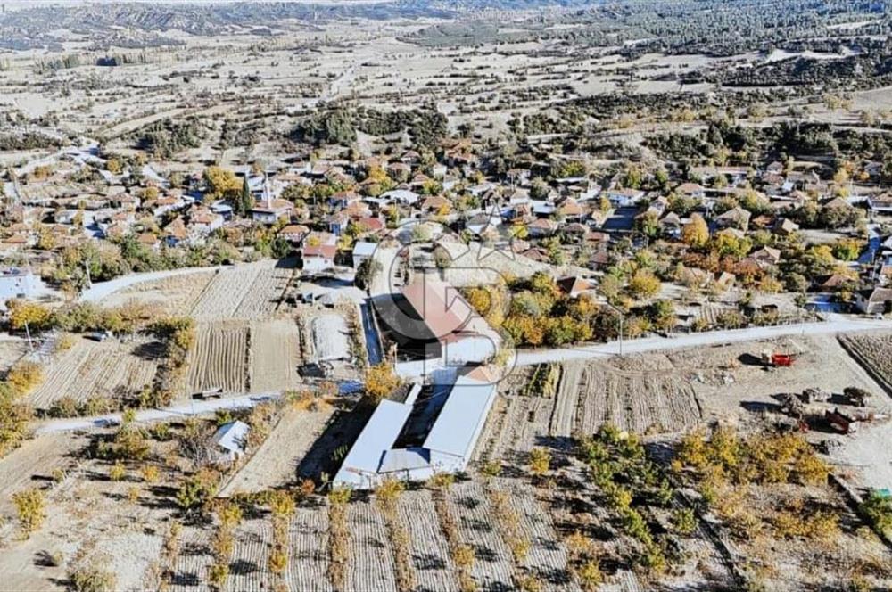 Bozkurt Çambaşı Mah. 773 M² Satılık Besi Çiftliği