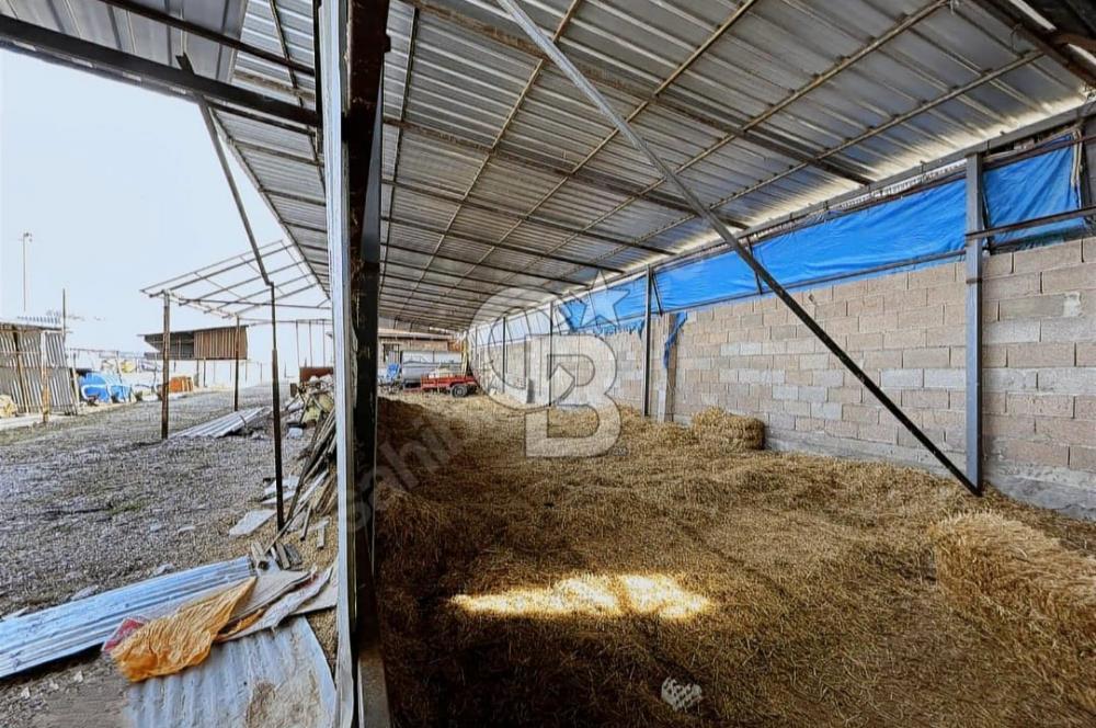 Bozkurt Çambaşı Mah. 773 M² Satılık Besi Çiftliği