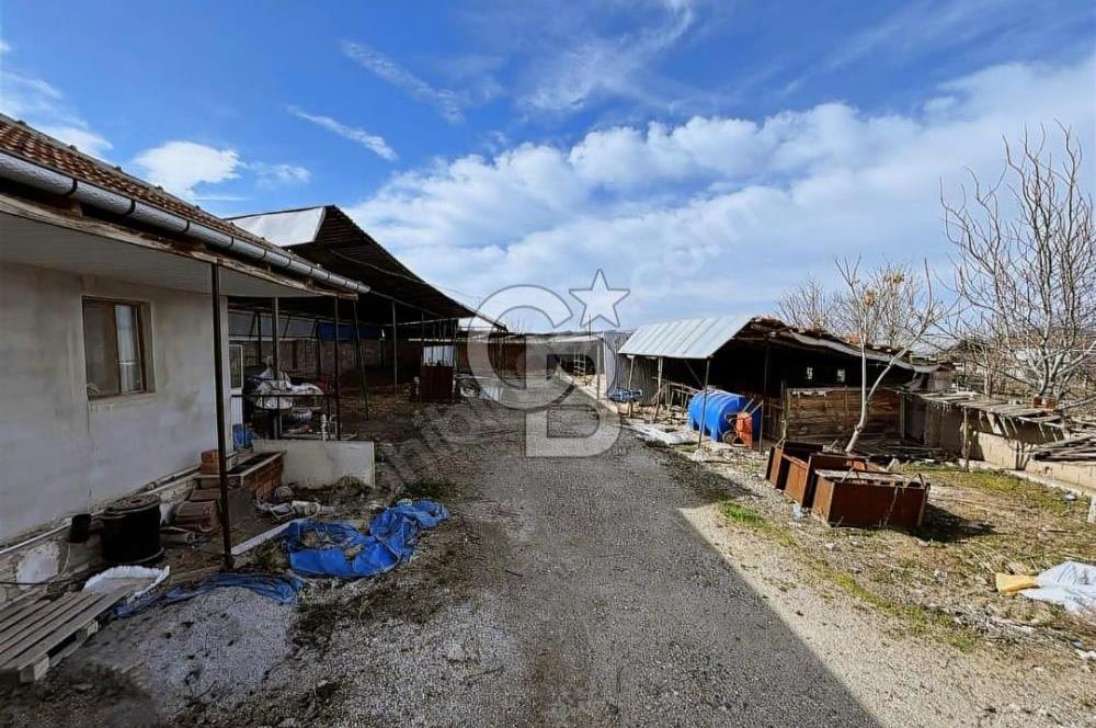 Bozkurt Çambaşı Mah. 773 M² Satılık Besi Çiftliği