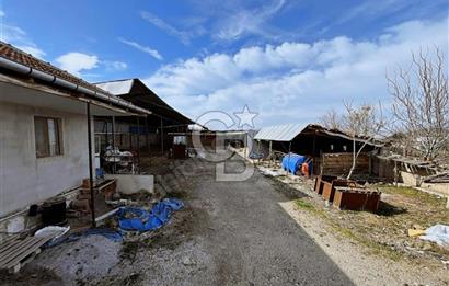 Bozkurt Çambaşı Mah. 773 M² Satılık Besi Çiftliği