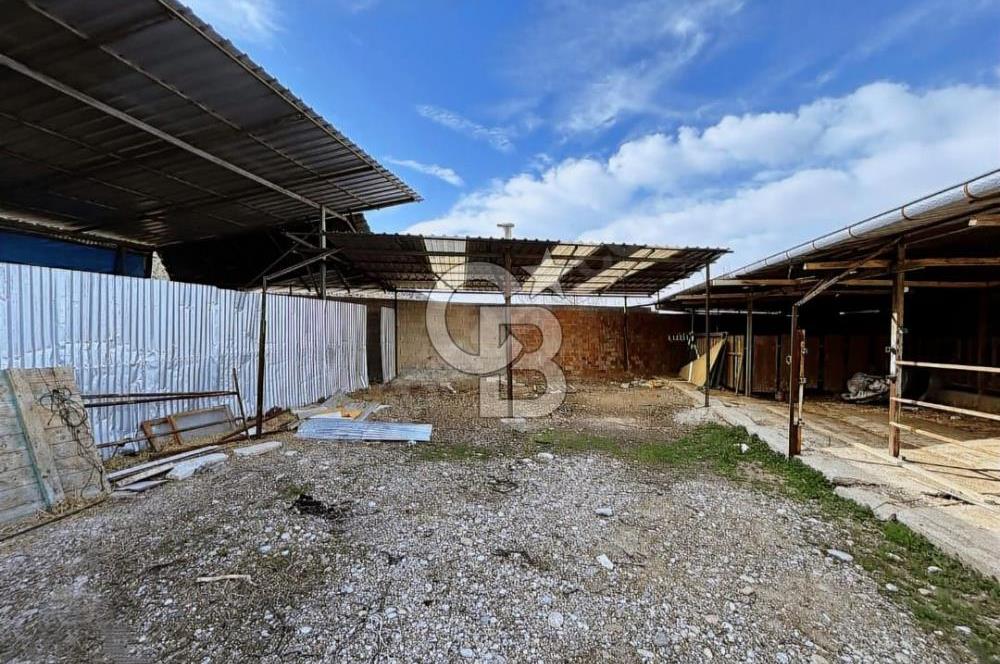 Bozkurt Çambaşı Mah. 773 M² Satılık Besi Çiftliği
