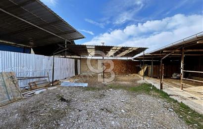 Bozkurt Çambaşı Mah. 773 M² Satılık Besi Çiftliği
