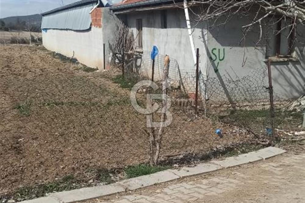 Bozkurt Çambaşı Mah. 773 M² Satılık Besi Çiftliği