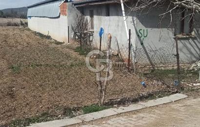 Bozkurt Çambaşı Mah. 773 M² Satılık Besi Çiftliği