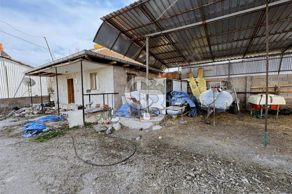 Bozkurt Çambaşı Mah. 773 M² Satılık Besi Çiftliği