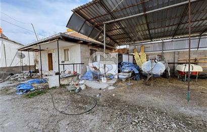 Bozkurt Çambaşı Mah. 773 M² Satılık Besi Çiftliği