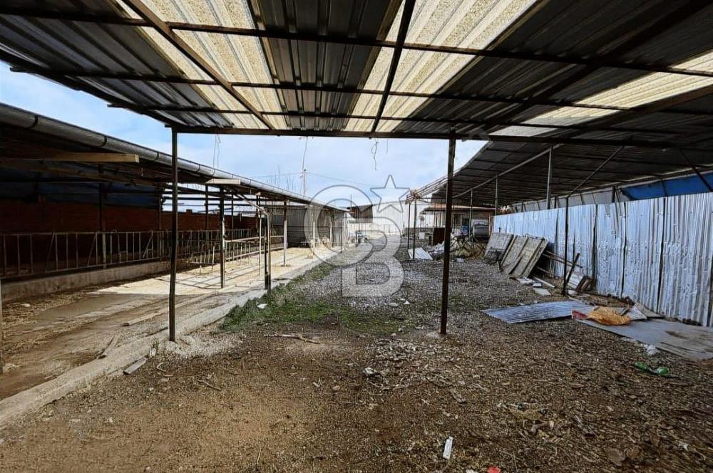 Bozkurt Çambaşı Mah. 773 M² Satılık Besi Çiftliği