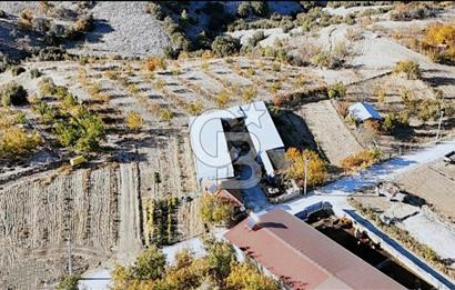 Bozkurt Çambaşı Mah. 773 M² Satılık Besi Çiftliği