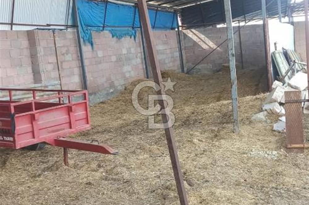 Bozkurt Çambaşı Mah. 773 M² Satılık Besi Çiftliği