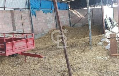 Bozkurt Çambaşı Mah. 773 M² Satılık Besi Çiftliği