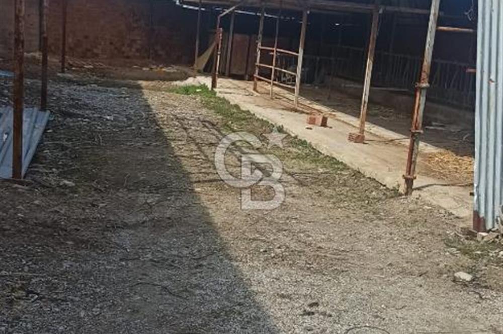 Bozkurt Çambaşı Mah. 773 M² Satılık Besi Çiftliği