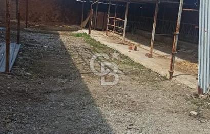 Bozkurt Çambaşı Mah. 773 M² Satılık Besi Çiftliği