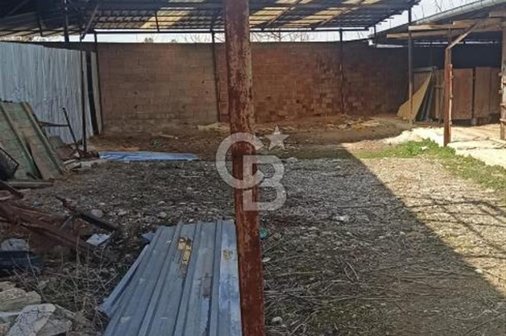 Bozkurt Çambaşı Mah. 773 M² Satılık Besi Çiftliği