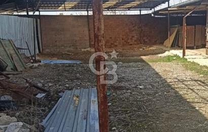 Bozkurt Çambaşı Mah. 773 M² Satılık Besi Çiftliği