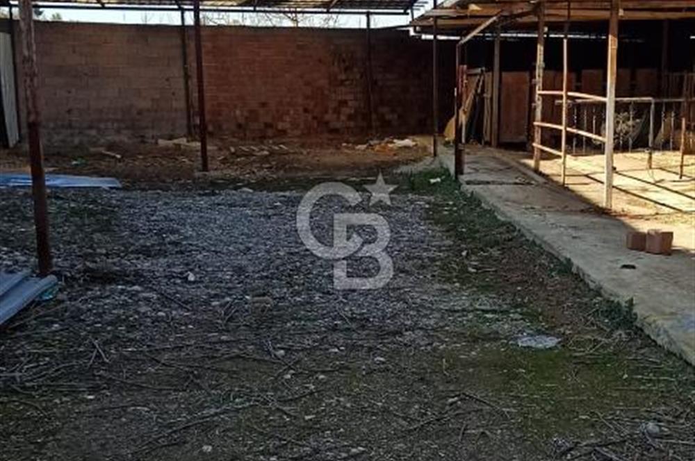 Bozkurt Çambaşı Mah. 773 M² Satılık Besi Çiftliği