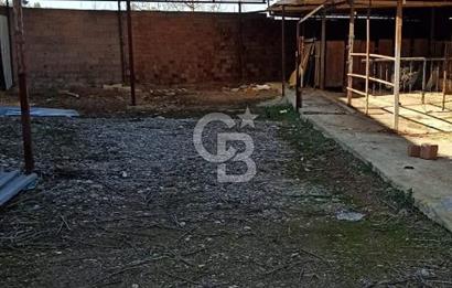 Bozkurt Çambaşı Mah. 773 M² Satılık Besi Çiftliği