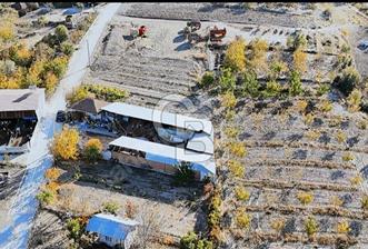Bozkurt Çambaşı Mah. 773 M² Satılık Besi Çiftliği
