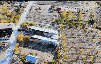 Bozkurt Çambaşı Mah. 773 M² Satılık Besi Çiftliği