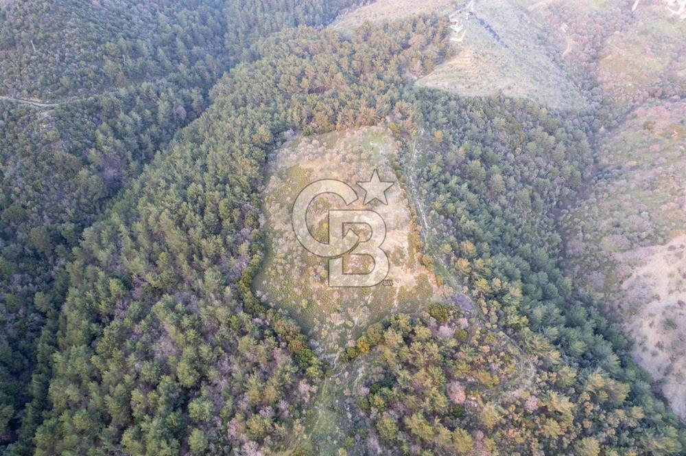 Seferihisar Gölcük'de manzaralı Orman cepheli arazi