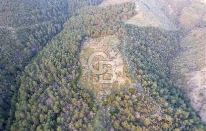 Seferihisar Gölcük'de manzaralı Orman cepheli arazi