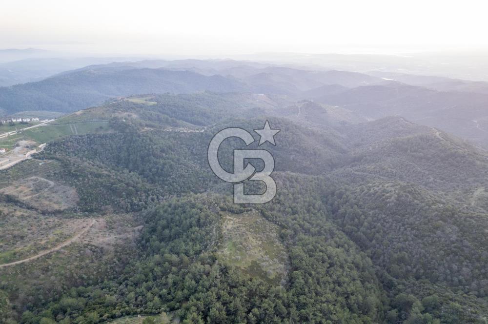 Seferihisar Gölcük'de manzaralı Orman cepheli arazi