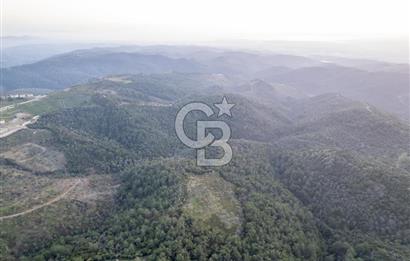 Seferihisar Gölcük'de manzaralı Orman cepheli arazi