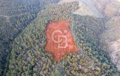 Seferihisar Gölcük'de manzaralı Orman cepheli arazi