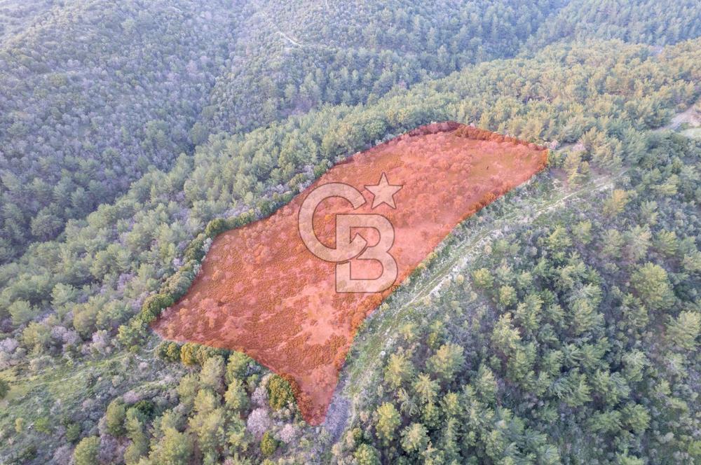 Seferihisar Gölcük'de manzaralı Orman cepheli arazi