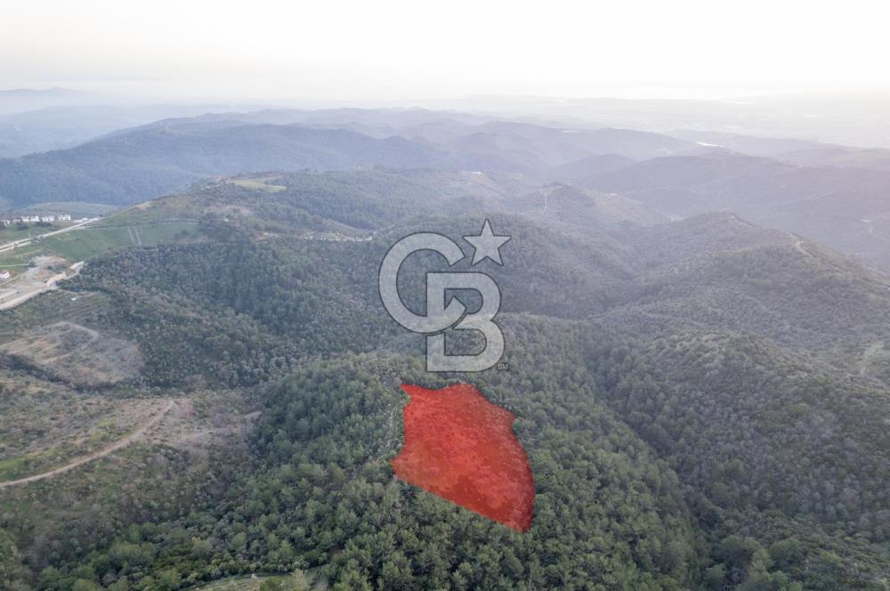 Seferihisar Gölcük'de manzaralı Orman cepheli arazi
