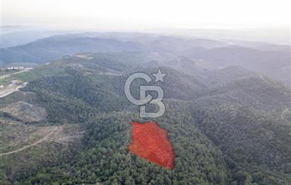 Seferihisar Gölcük'de manzaralı Orman cepheli arazi